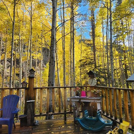 Cabin By The Creek With High Speed Wifi レッドリバー エクステリア 写真