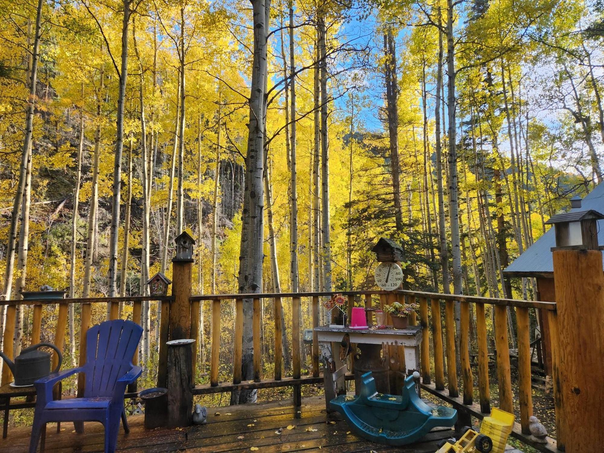 Cabin By The Creek With High Speed Wifi レッドリバー エクステリア 写真